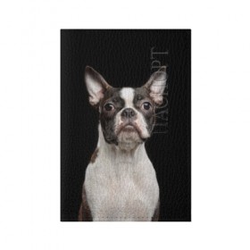 Обложка для паспорта матовая кожа с принтом Бостонский терьер в Белгороде, натуральная матовая кожа | размер 19,3 х 13,7 см; прозрачные пластиковые крепления | animal | background | beast | black | boston | breed | color | cool | cute | dog | ears | jaw | look | muzzle | pet | portrait | terrier | white | wool | белый | бостон | взгляд | животное | зверь | милый | пёс | питомец | порода | портрет | прико
