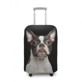 Чехол для чемодана 3D с принтом Бостонский терьер в Белгороде, 86% полиэфир, 14% спандекс | двустороннее нанесение принта, прорези для ручек и колес | animal | background | beast | black | boston | breed | color | cool | cute | dog | ears | jaw | look | muzzle | pet | portrait | terrier | white | wool | белый | бостон | взгляд | животное | зверь | милый | пёс | питомец | порода | портрет | прико