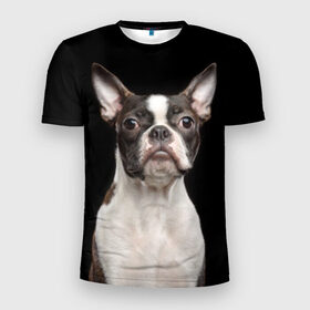Мужская футболка 3D спортивная с принтом Бостонский терьер в Белгороде, 100% полиэстер с улучшенными характеристиками | приталенный силуэт, круглая горловина, широкие плечи, сужается к линии бедра | Тематика изображения на принте: animal | background | beast | black | boston | breed | color | cool | cute | dog | ears | jaw | look | muzzle | pet | portrait | terrier | white | wool | белый | бостон | взгляд | животное | зверь | милый | пёс | питомец | порода | портрет | прико