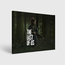 Холст прямоугольный с принтом THE LAST OF US ЭЛЛИ | ОДНИ ИЗ НАС ELLIE в Белгороде, 100% ПВХ |  | gamer | player | stels | the last of us | the last of us part 2 | бегун | джоэл | каннибалы | охотники | сталкер | топляк | цикады | щелкун | элли