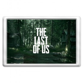 Магнит 45*70 с принтом THE LAST OF US в Белгороде, Пластик | Размер: 78*52 мм; Размер печати: 70*45 | gamer | player | stels | the last of us | the last of us part 2 | бегун | джоэл | каннибалы | охотники | сталкер | топляк | цикады | щелкун | элли