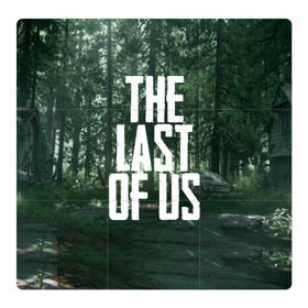 Магнитный плакат 3Х3 с принтом THE LAST OF US в Белгороде, Полимерный материал с магнитным слоем | 9 деталей размером 9*9 см | gamer | player | stels | the last of us | the last of us part 2 | бегун | джоэл | каннибалы | охотники | сталкер | топляк | цикады | щелкун | элли