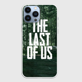 Чехол для iPhone 13 Pro Max с принтом THE LAST OF US в Белгороде,  |  | Тематика изображения на принте: gamer | player | stels | the last of us | the last of us part 2 | бегун | джоэл | каннибалы | охотники | сталкер | топляк | цикады | щелкун | элли