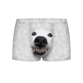 Мужские трусы 3D с принтом Собака - улыбака в Белгороде, 50% хлопок, 50% полиэстер | классическая посадка, на поясе мягкая тканевая резинка | животные | зубы | мордочка | пес | прикол | смешная | собака | улыбака | улыбка | щенок | юмор