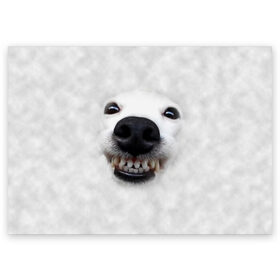 Поздравительная открытка с принтом Собака - улыбака в Белгороде, 100% бумага | плотность бумаги 280 г/м2, матовая, на обратной стороне линовка и место для марки
 | Тематика изображения на принте: животные | зубы | мордочка | пес | прикол | смешная | собака | улыбака | улыбка | щенок | юмор