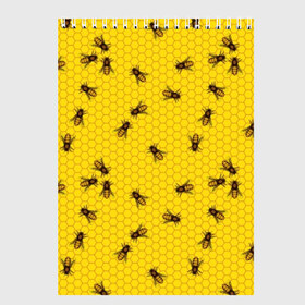 Скетчбук с принтом Пчелы в сотах в Белгороде, 100% бумага
 | 48 листов, плотность листов — 100 г/м2, плотность картонной обложки — 250 г/м2. Листы скреплены сверху удобной пружинной спиралью | Тематика изображения на принте: bee | beehive | brown | bug | honey | honeycomb | insect | toiler | yellow | букашка | желтый | коричневый | мёд | насекомое | пчела | соты | труженик | улей