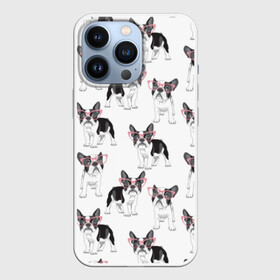 Чехол для iPhone 13 Pro с принтом Французские бульдоги в очках в Белгороде,  |  | black | breed | cool | cute | dog | french bulldog | pink | puppy | white | белый | мило | очки | пёс | порода | прикольный | псина | розовый | собака | французский бульдог | черный | щенок