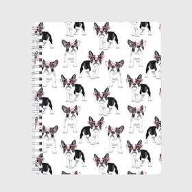 Тетрадь с принтом Французские бульдоги в очках в Белгороде, 100% бумага | 48 листов, плотность листов — 60 г/м2, плотность картонной обложки — 250 г/м2. Листы скреплены сбоку удобной пружинной спиралью. Уголки страниц и обложки скругленные. Цвет линий — светло-серый
 | black | breed | cool | cute | dog | french bulldog | pink | puppy | white | белый | мило | очки | пёс | порода | прикольный | псина | розовый | собака | французский бульдог | черный | щенок