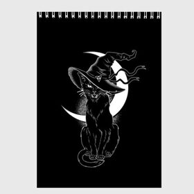 Скетчбук с принтом Кошка колдунья в Белгороде, 100% бумага
 | 48 листов, плотность листов — 100 г/м2, плотность картонной обложки — 250 г/м2. Листы скреплены сверху удобной пружинной спиралью | black | cat | cl | crescent | fangs | halloween | hat | holiday | hunter | kitty | magic | month | moon | mystic | night | predator | white | witch | белый | ведьма | киса | клыки | когти | колдовство | кот | котэ | кошка | луна | магия | месяц | мистика 