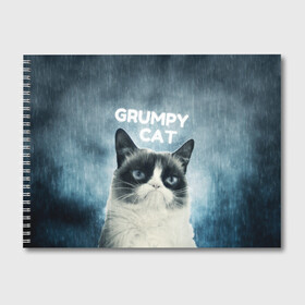 Альбом для рисования с принтом Grumpy Cat в Белгороде, 100% бумага
 | матовая бумага, плотность 200 мг. | кот | котики | коты | мем | мемы | сердитый кот