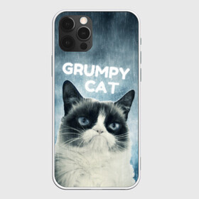 Чехол для iPhone 12 Pro с принтом Grumpy Cat в Белгороде, силикон | область печати: задняя сторона чехла, без боковых панелей | кот | котики | коты | мем | мемы | сердитый кот