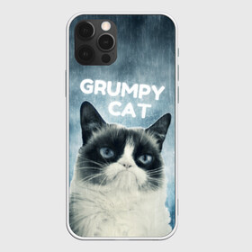 Чехол для iPhone 12 Pro Max с принтом Grumpy Cat в Белгороде, Силикон |  | кот | котики | коты | мем | мемы | сердитый кот