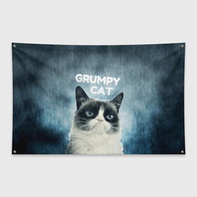 Флаг-баннер с принтом Grumpy Cat в Белгороде, 100% полиэстер | размер 67 х 109 см, плотность ткани — 95 г/м2; по краям флага есть четыре люверса для крепления | кот | котики | коты | мем | мемы | сердитый кот
