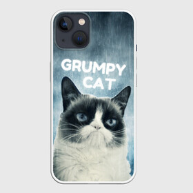Чехол для iPhone 13 с принтом Grumpy Cat в Белгороде,  |  | кот | котики | коты | мем | мемы | сердитый кот