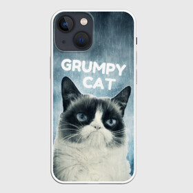 Чехол для iPhone 13 mini с принтом Grumpy Cat в Белгороде,  |  | кот | котики | коты | мем | мемы | сердитый кот
