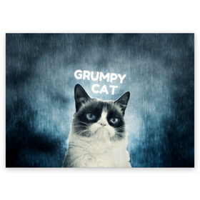 Поздравительная открытка с принтом Grumpy Cat в Белгороде, 100% бумага | плотность бумаги 280 г/м2, матовая, на обратной стороне линовка и место для марки
 | Тематика изображения на принте: кот | котики | коты | мем | мемы | сердитый кот
