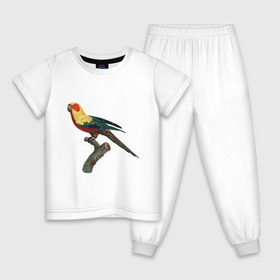 Детская пижама хлопок с принтом Попугай. Аратинга. в Белгороде, 100% хлопок |  брюки и футболка прямого кроя, без карманов, на брюках мягкая резинка на поясе и по низу штанин
 | аратинга | бразилия | зоозащита | попугаи | попугайчики | природа | птица | птицы | солнечный