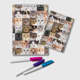 Блокнот с принтом Кошачий коллаж в Белгороде, 100% бумага | 48 листов, плотность листов — 60 г/м2, плотность картонной обложки — 250 г/м2. Листы скреплены удобной пружинной спиралью. Цвет линий — светло-серый
 | breed | cat | cats | collage | eyes | fluffy | funny | kitten | look | meow | mustache | muzzle | photo | squares | взгляд | глаза | квадраты | коллаж | кот | котёнок | котики | кошка | мяу | порода | прикольный | пушистый | усы | фото