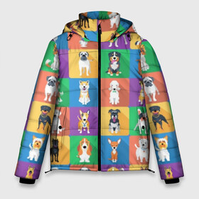 Мужская зимняя куртка 3D с принтом Забавные собаки в Белгороде, верх — 100% полиэстер; подкладка — 100% полиэстер; утеплитель — 100% полиэстер | длина ниже бедра, свободный силуэт Оверсайз. Есть воротник-стойка, отстегивающийся капюшон и ветрозащитная планка. 

Боковые карманы с листочкой на кнопках и внутренний карман на молнии. | breed | bright | chihuahua | dog | funny | husky | labrador | multicolored | pit bu | poodle | pug | puppy | rottweiler | sheepdog | долматинец | китайская хохлатая | колли | лабрадор | мопс | овчарка | пёс | порода | прикольный | псина | пудель | разноцв