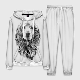 Мужской костюм 3D с принтом Кокер спаниель в Белгороде, 100% полиэстер | Манжеты и пояс оформлены тканевой резинкой, двухслойный капюшон со шнурком для регулировки, карманы спереди | animal | black | breed | cocker spaniel | cool | dog | eyes | interesting | look | muzzle | white | wool | белый | взгляд | глаза | животное | интересный | кокер спаниель | пёс | порода | прикольный | псина | собака | собакен | черный | шерсть