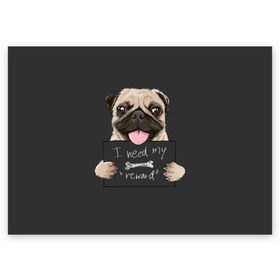 Поздравительная открытка с принтом I need my “reward” в Белгороде, 100% бумага | плотность бумаги 280 г/м2, матовая, на обратной стороне линовка и место для марки
 | animal | breed | dog | eyes | funny | gray | look | muzzle | pug | slogan | text | взгляд | глаза | животное | забавный | мопс | порода | серый | слоган | собака | текст