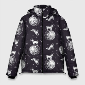 Мужская зимняя куртка 3D с принтом Собаки - астронавты в Белгороде, верх — 100% полиэстер; подкладка — 100% полиэстер; утеплитель — 100% полиэстер | длина ниже бедра, свободный силуэт Оверсайз. Есть воротник-стойка, отстегивающийся капюшон и ветрозащитная планка. 

Боковые карманы с листочкой на кнопках и внутренний карман на молнии. | astronaut | black | breed | chihuahua | dog | flight | galaxy | helmet | planet | space | spacesuit | white | астронавт | белый | галактика | космос | пёс | планета | полёт | порода | скафандр | собака | черный | чихуахуа | шлем