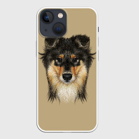 Чехол для iPhone 13 mini с принтом Sheltie в Белгороде,  |  | animal | black | breed | brown | cute | dog | drawing | eyes | kind | look | muzzle | portrait | red | взгляд | глаза | добрый | животное | коричневый | милый | пёс | порода | портрет | рисунок | рыжий | собака | черный | шелти