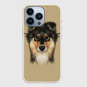 Чехол для iPhone 13 Pro с принтом Sheltie в Белгороде,  |  | animal | black | breed | brown | cute | dog | drawing | eyes | kind | look | muzzle | portrait | red | взгляд | глаза | добрый | животное | коричневый | милый | пёс | порода | портрет | рисунок | рыжий | собака | черный | шелти