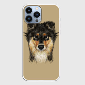 Чехол для iPhone 13 Pro Max с принтом Sheltie в Белгороде,  |  | Тематика изображения на принте: animal | black | breed | brown | cute | dog | drawing | eyes | kind | look | muzzle | portrait | red | взгляд | глаза | добрый | животное | коричневый | милый | пёс | порода | портрет | рисунок | рыжий | собака | черный | шелти