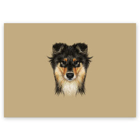 Поздравительная открытка с принтом Sheltie в Белгороде, 100% бумага | плотность бумаги 280 г/м2, матовая, на обратной стороне линовка и место для марки
 | animal | black | breed | brown | cute | dog | drawing | eyes | kind | look | muzzle | portrait | red | взгляд | глаза | добрый | животное | коричневый | милый | пёс | порода | портрет | рисунок | рыжий | собака | черный | шелти