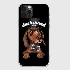 Чехол для iPhone 12 Pro Max с принтом Такса в цилиндре в Белгороде, Силикон |  | animal | black | bowtie | breed | brown | cool | cylinder | dachshund | dog | gentleman | muzzle | white | белый | галстук  бабочка | джентльмен | животное | коричневый | порода | прикольный | собака | такса | цилиндр | черный