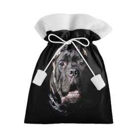 Подарочный 3D мешок с принтом Мастиф в Белгороде, 100% полиэстер | Размер: 29*39 см | Тематика изображения на принте: animal | black | collar | dog | friend | look | man | muzzle | взгляд | друг | животное | мастиф | ошейник | пёс | собака | человека | черный