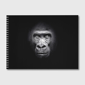 Альбом для рисования с принтом Горилла в Белгороде, 100% бумага
 | матовая бумага, плотность 200 мг. | animal | black | eyes | fauna | gorilla | gray | look | monkey | muzzle | primate | взгляд | глаза | горилла | животное | обезьяна | примат | серый | фауна | черный