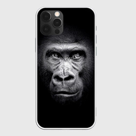 Чехол для iPhone 12 Pro Max с принтом Горилла в Белгороде, Силикон |  | Тематика изображения на принте: animal | black | eyes | fauna | gorilla | gray | look | monkey | muzzle | primate | взгляд | глаза | горилла | животное | обезьяна | примат | серый | фауна | черный