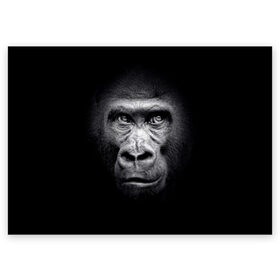 Поздравительная открытка с принтом Горилла в Белгороде, 100% бумага | плотность бумаги 280 г/м2, матовая, на обратной стороне линовка и место для марки
 | animal | black | eyes | fauna | gorilla | gray | look | monkey | muzzle | primate | взгляд | глаза | горилла | животное | обезьяна | примат | серый | фауна | черный