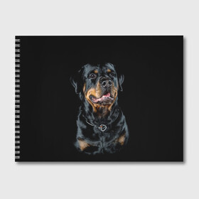 Альбом для рисования с принтом Ротвейлер в Белгороде, 100% бумага
 | матовая бумага, плотность 200 мг. | animal | black | breed | collar | dog | friend | glance | gloss | man | muzzle | rottweiler | взгляд | друг | животное | лоск | ошейник | пёс | порода | ротвейлер | собака | человека | черный