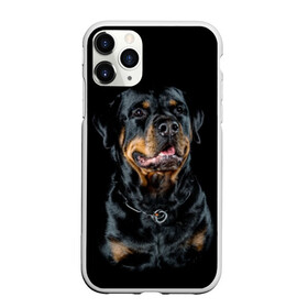 Чехол для iPhone 11 Pro Max матовый с принтом Ротвейлер в Белгороде, Силикон |  | animal | black | breed | collar | dog | friend | glance | gloss | man | muzzle | rottweiler | взгляд | друг | животное | лоск | ошейник | пёс | порода | ротвейлер | собака | человека | черный