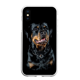 Чехол для iPhone XS Max матовый с принтом Ротвейлер в Белгороде, Силикон | Область печати: задняя сторона чехла, без боковых панелей | animal | black | breed | collar | dog | friend | glance | gloss | man | muzzle | rottweiler | взгляд | друг | животное | лоск | ошейник | пёс | порода | ротвейлер | собака | человека | черный
