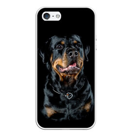 Чехол для iPhone 5/5S матовый с принтом Ротвейлер в Белгороде, Силикон | Область печати: задняя сторона чехла, без боковых панелей | animal | black | breed | collar | dog | friend | glance | gloss | man | muzzle | rottweiler | взгляд | друг | животное | лоск | ошейник | пёс | порода | ротвейлер | собака | человека | черный