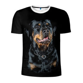 Мужская футболка 3D спортивная с принтом Ротвейлер в Белгороде, 100% полиэстер с улучшенными характеристиками | приталенный силуэт, круглая горловина, широкие плечи, сужается к линии бедра | animal | black | breed | collar | dog | friend | glance | gloss | man | muzzle | rottweiler | взгляд | друг | животное | лоск | ошейник | пёс | порода | ротвейлер | собака | человека | черный