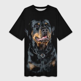 Платье-футболка 3D с принтом Ротвейлер в Белгороде,  |  | animal | black | breed | collar | dog | friend | glance | gloss | man | muzzle | rottweiler | взгляд | друг | животное | лоск | ошейник | пёс | порода | ротвейлер | собака | человека | черный