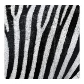 Магнитный плакат 3Х3 с принтом Zebra Skin в Белгороде, Полимерный материал с магнитным слоем | 9 деталей размером 9*9 см | Тематика изображения на принте: animal | black | black white | pattern. | skin | streaks | texture | white | zebra | белый | животное | животные | зебра | полосы | текстура | узор | чёрно белые | чёрный