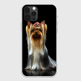 Чехол для iPhone 12 Pro Max с принтом Йоркширский терьер в Белгороде, Силикон |  | animal | barrette | breed | cute | dog | funny | muzzle | small | terrier | yorkshire | животное | забавный | заколка | йоркширский | маленький | милый | порода | смешной | собака | терьер