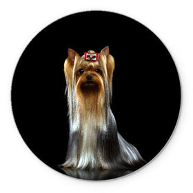 Коврик для мышки круглый с принтом Йоркширский терьер в Белгороде, резина и полиэстер | круглая форма, изображение наносится на всю лицевую часть | Тематика изображения на принте: animal | barrette | breed | cute | dog | funny | muzzle | small | terrier | yorkshire | животное | забавный | заколка | йоркширский | маленький | милый | порода | смешной | собака | терьер