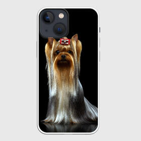 Чехол для iPhone 13 mini с принтом Йоркширский терьер в Белгороде,  |  | animal | barrette | breed | cute | dog | funny | muzzle | small | terrier | yorkshire | животное | забавный | заколка | йоркширский | маленький | милый | порода | смешной | собака | терьер