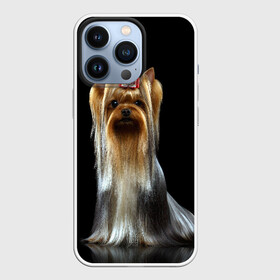 Чехол для iPhone 13 Pro с принтом Йоркширский терьер в Белгороде,  |  | animal | barrette | breed | cute | dog | funny | muzzle | small | terrier | yorkshire | животное | забавный | заколка | йоркширский | маленький | милый | порода | смешной | собака | терьер