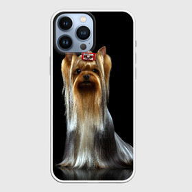 Чехол для iPhone 13 Pro Max с принтом Йоркширский терьер в Белгороде,  |  | Тематика изображения на принте: animal | barrette | breed | cute | dog | funny | muzzle | small | terrier | yorkshire | животное | забавный | заколка | йоркширский | маленький | милый | порода | смешной | собака | терьер