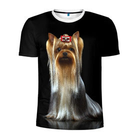 Мужская футболка 3D спортивная с принтом Йоркширский терьер в Белгороде, 100% полиэстер с улучшенными характеристиками | приталенный силуэт, круглая горловина, широкие плечи, сужается к линии бедра | animal | barrette | breed | cute | dog | funny | muzzle | small | terrier | yorkshire | животное | забавный | заколка | йоркширский | маленький | милый | порода | смешной | собака | терьер