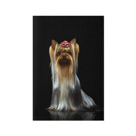Обложка для паспорта матовая кожа с принтом Йоркширский терьер в Белгороде, натуральная матовая кожа | размер 19,3 х 13,7 см; прозрачные пластиковые крепления | Тематика изображения на принте: animal | barrette | breed | cute | dog | funny | muzzle | small | terrier | yorkshire | животное | забавный | заколка | йоркширский | маленький | милый | порода | смешной | собака | терьер