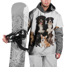 Накидка на куртку 3D с принтом Породистые собаки в Белгороде, 100% полиэстер |  | animal | bernese | breed | bulldog | corgi | cute | dog | french | funny | jack | labrador | mountain dog | muzzle | paws | pug | puppy | spaniel | бернский | бульдог | джек рассел | животное | забавный | зенненхунд | корги | лабрадор | лапы | милый